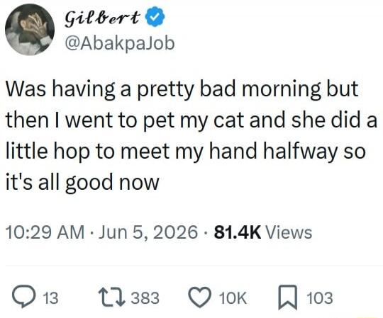 Was having a pretty bad morning but then I went to pet my cat and she did a little hop to meet my hand halfway so it's all good now