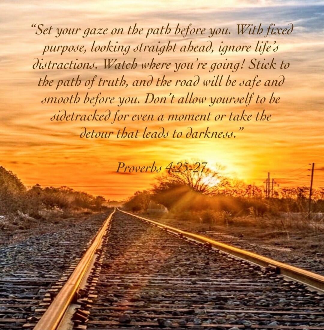 Set your gaze on the path before you. With fixed purpose, looking straight ahead, ignore life’s distraction. Watch where you’re going! Stick to the path of truth, and the road will be safe and smooth before you. Don’t allow yourself to be sidetracked for even a moment or take the detour that leads to darkness. Proverbs 4:25-27
