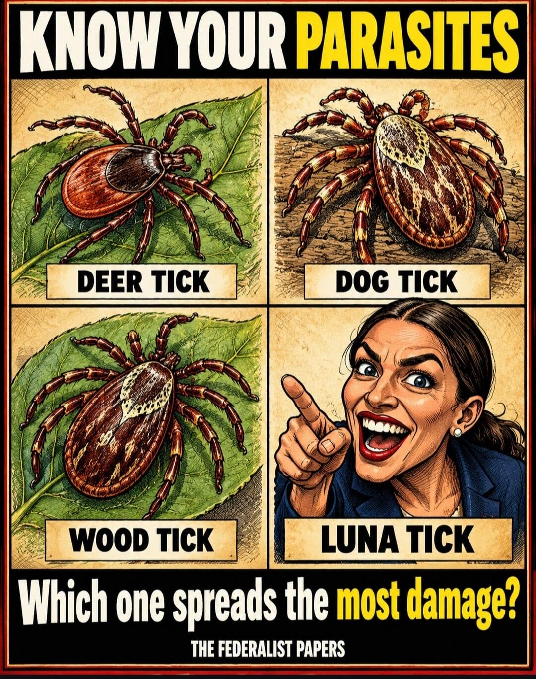 KNOW YOUR PARASITES DEER TICK DOG TICK WOOD TICK LUNA TICK Which one spreads the most damage? THE FEDERALIST PAPERS