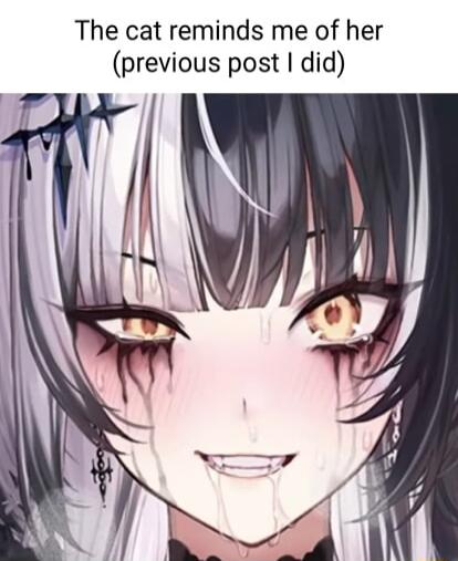 The cat reminds me of her previous post did