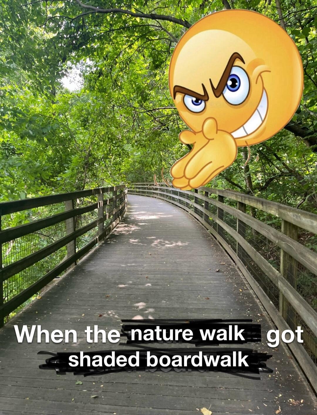 When th nature walk got shaded boardwalk _