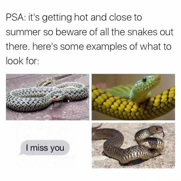 PSA its getting hot and close to summer so beware of all the snakes out there heres some examples of what to look for t o miss you