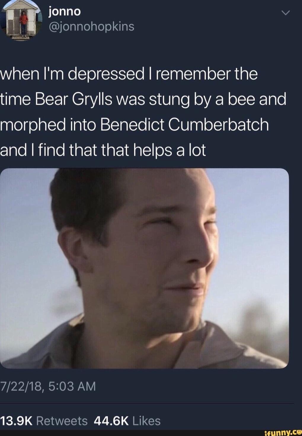 I jonno 1 jonnohopkins when Im depressed remember the time Bear Grylls was stung by a bee and morphed into Benedict Cumberbatch and find that that helps a lot 72218 503 AM 139K Retweets 446K Likes PU