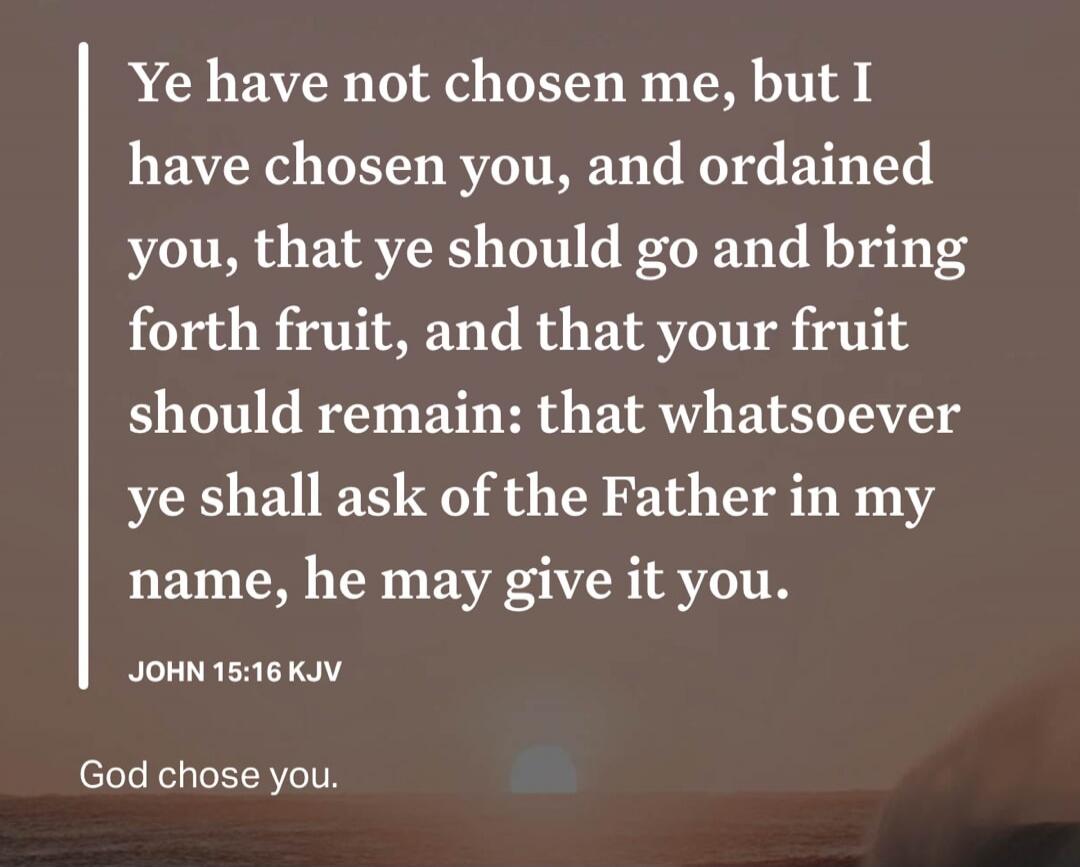Ye have not chosen me, but I have chosen you, and ordained you, that ye should go and bring forth fruit, and that your fruit should remain: that whatsoever ye shall ask of the Father in my name, he may give it you. JOHN 15:16 KJV God chose you.