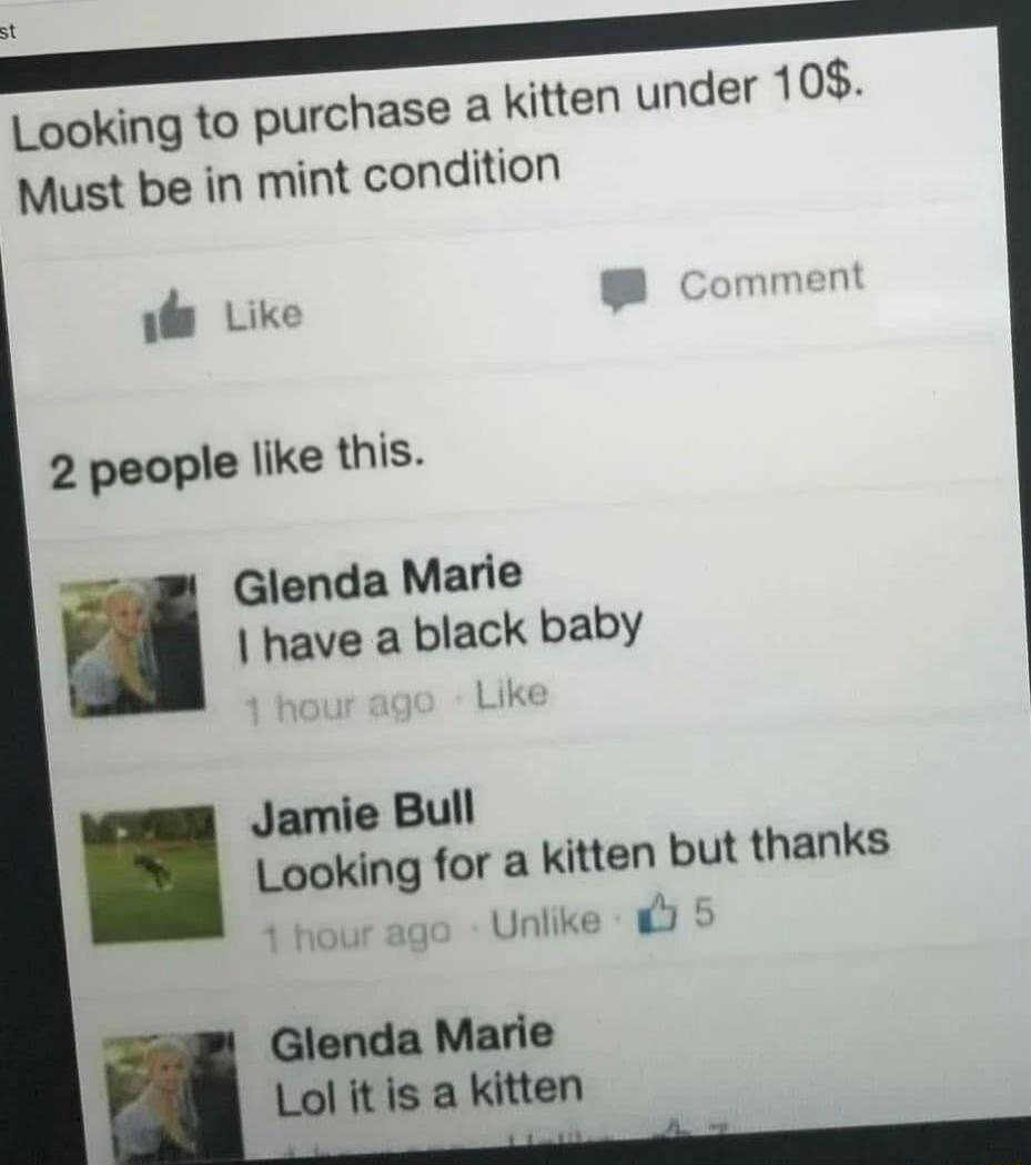 Looking to purchase a Kitten under 108 Must be in mint condition s Like o 2 people like this Glenda Marie have a black baby Unlike Glenda Marie Lol itis a kitten thanks