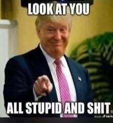 LOOK AT YOU ALL STUPID AND SHIT