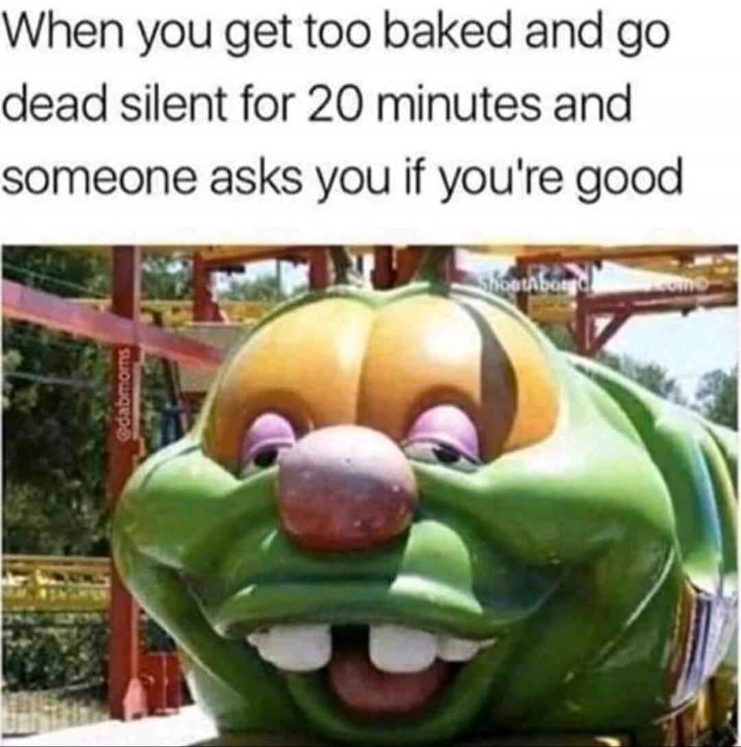 When you get too baked and go dead silent for 20 minutes and someone asks you if you're good
