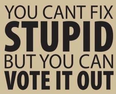 YOU CANT FIX STUPID BUT YOU CAN VOTE IT OUT