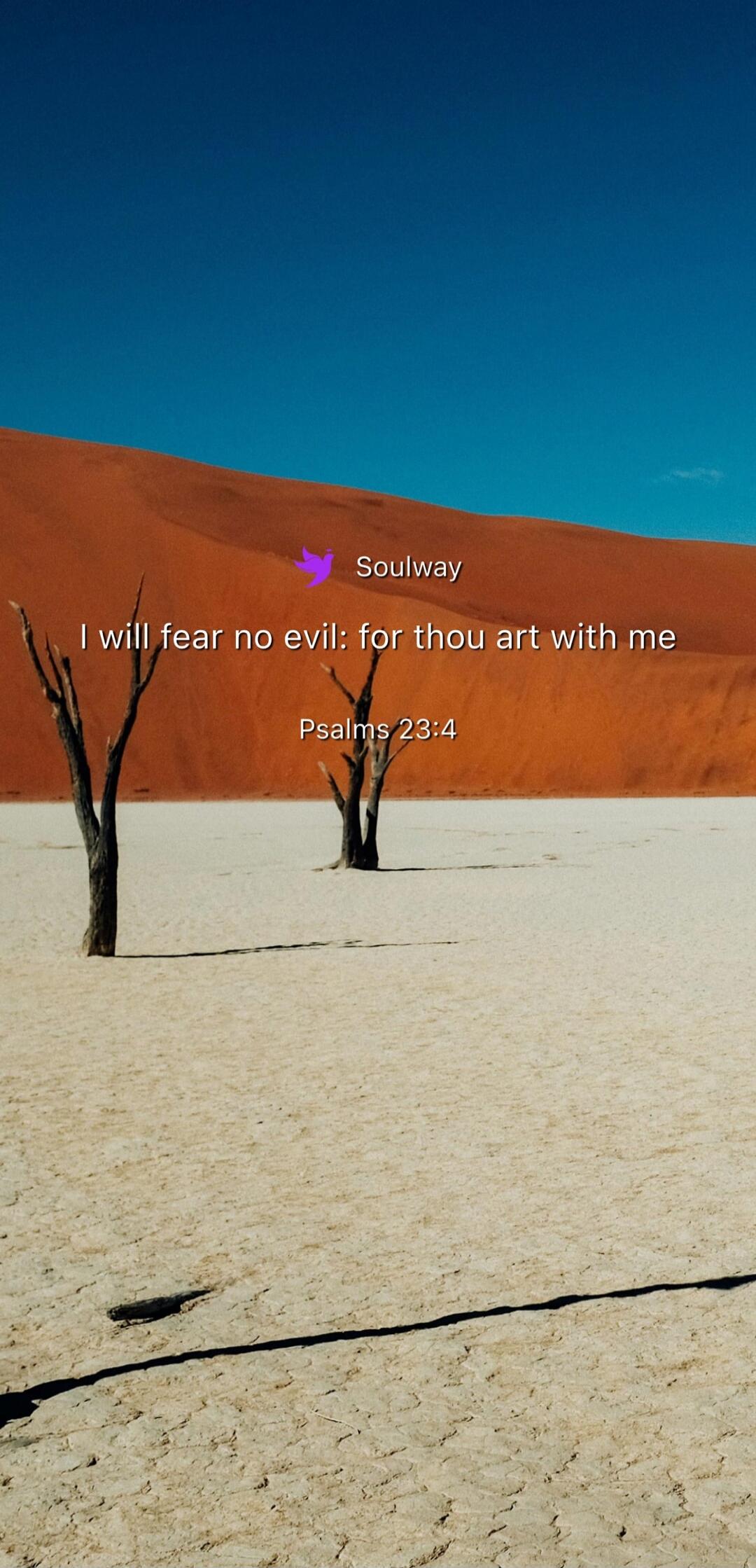 Soulway I will fear no evil: for thou art with me Psalms 23:4