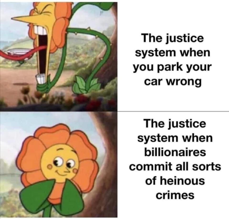 The justice system when you park your car wrong The justice system when billionaires commit all sorts of heinous crimes