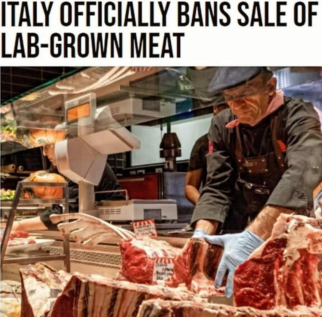 ITALY OFFICIALLY BANS SALE OF LAB GROWN MEAT e T T