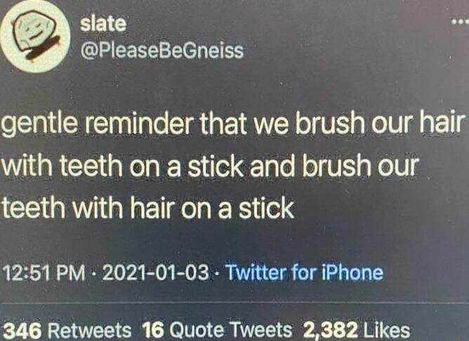 slate @PleaseBeGneiss: gentle reminder that we brush our hair with teeth on a stick and brush our teeth with hair on a stick