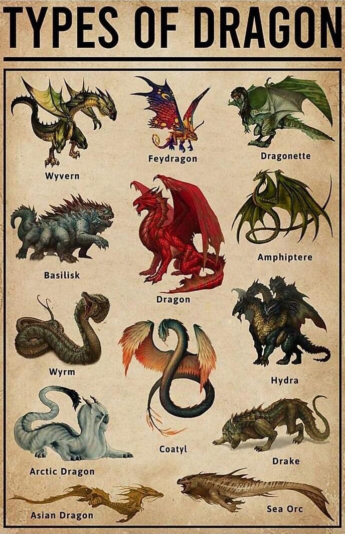 TYPES OF DRAGON