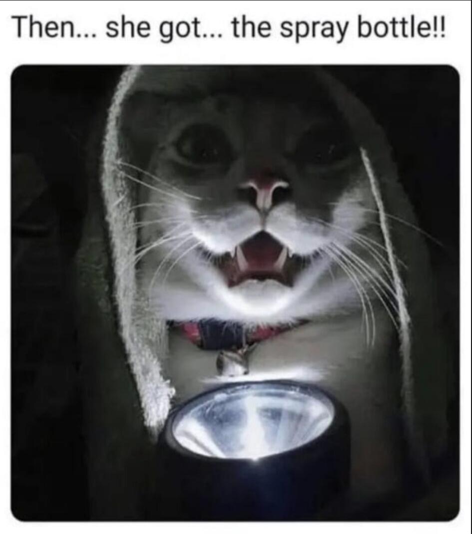 Then... she got... the spray bottle!!