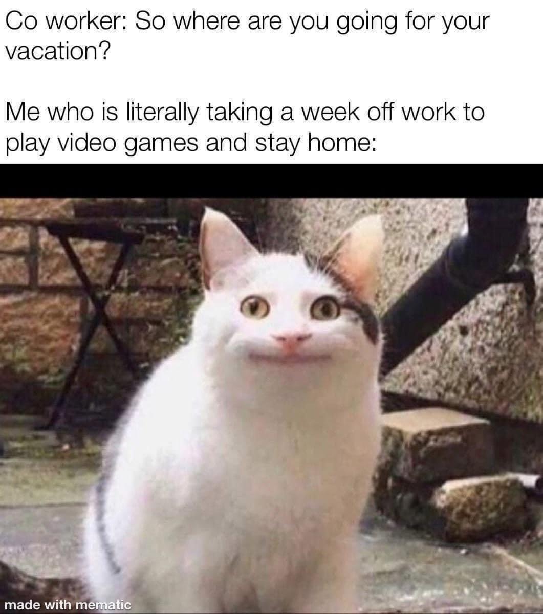 Co worker So where are you going for your vacation Me who is literally taking a week off work to play video games and stay home