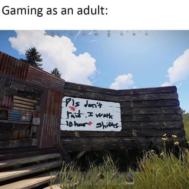 Gaming as an adult