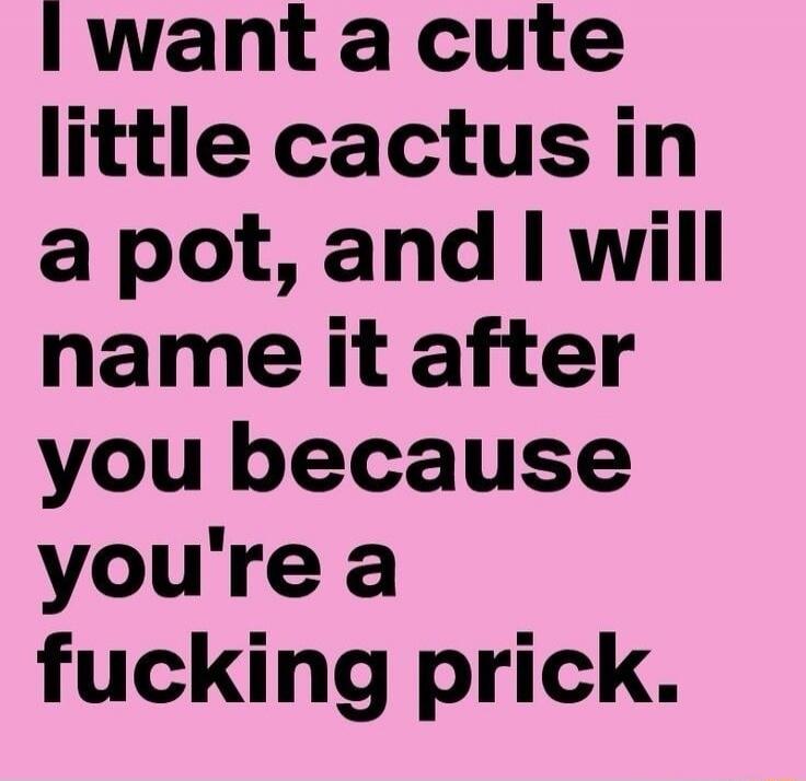 I want a cute little cactus in a pot, and I will name it after you because you're a fucking prick.