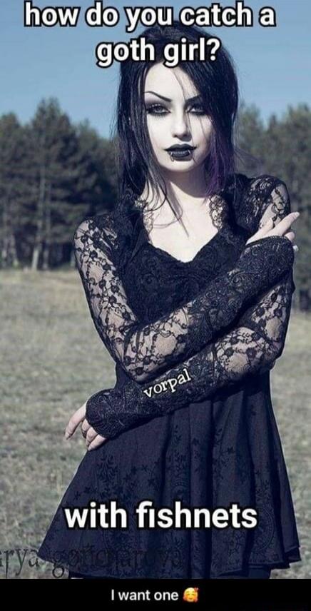 how do you catch a goth girl? with fishnets I want one
