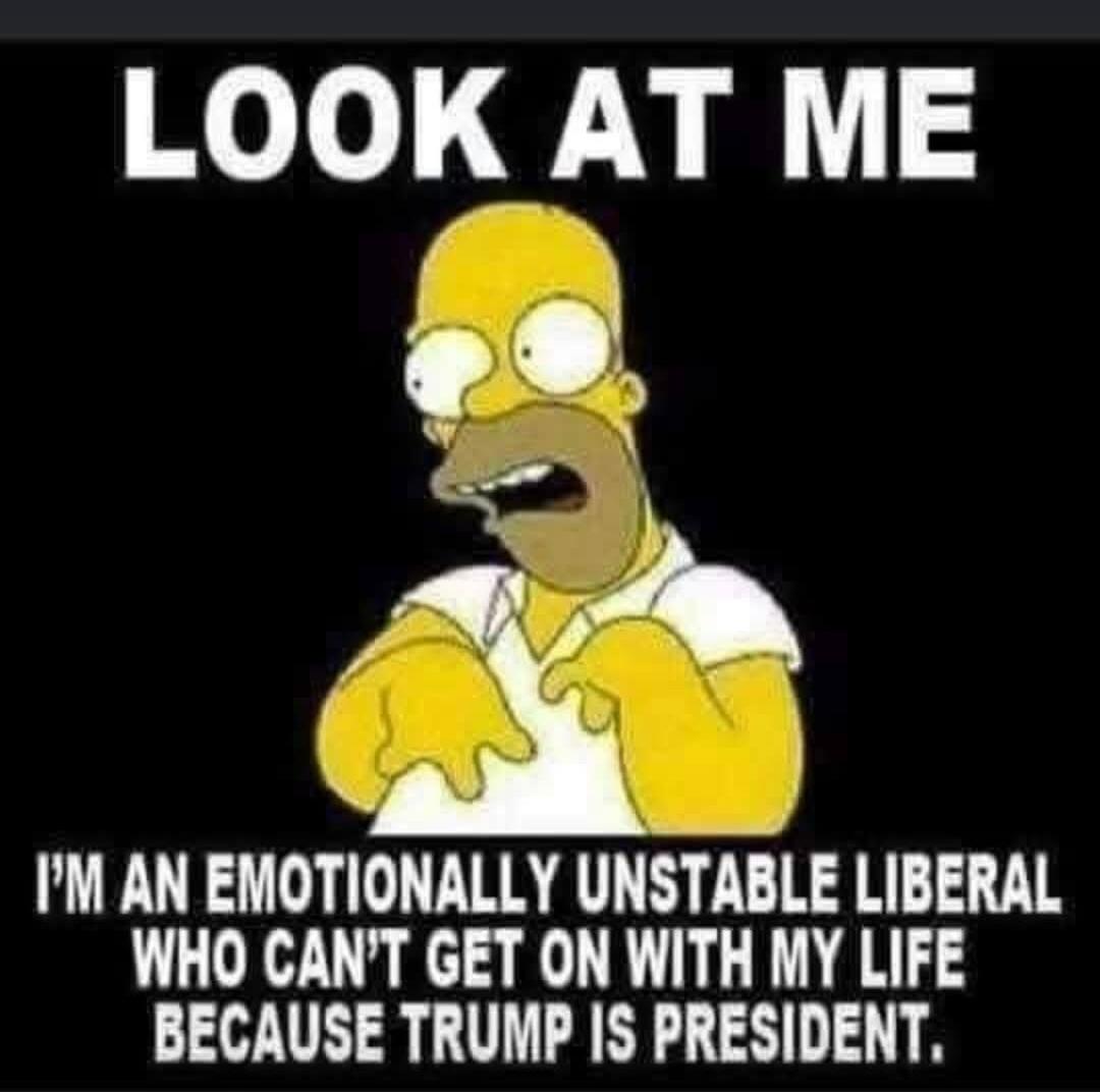 LOOK AT ME I'M AN EMOTIONALLY UNSTABLE LIBERAL WHO CAN'T GET ON WITH MY LIFE BECAUSE TRUMP IS PRESIDENT.