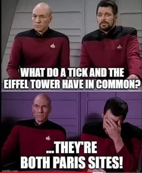 WHAT DO A TICK AND THE EIFFEL TOWER HAVE IN COMMON? ... THEY'RE BOTH PARIS SITES!