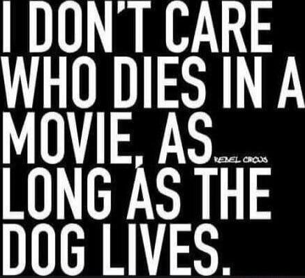 I DON'T CARE WHO DIES IN A MOVIE, AS LONG AS THE DOG LIVES. REBEL CIRCUS