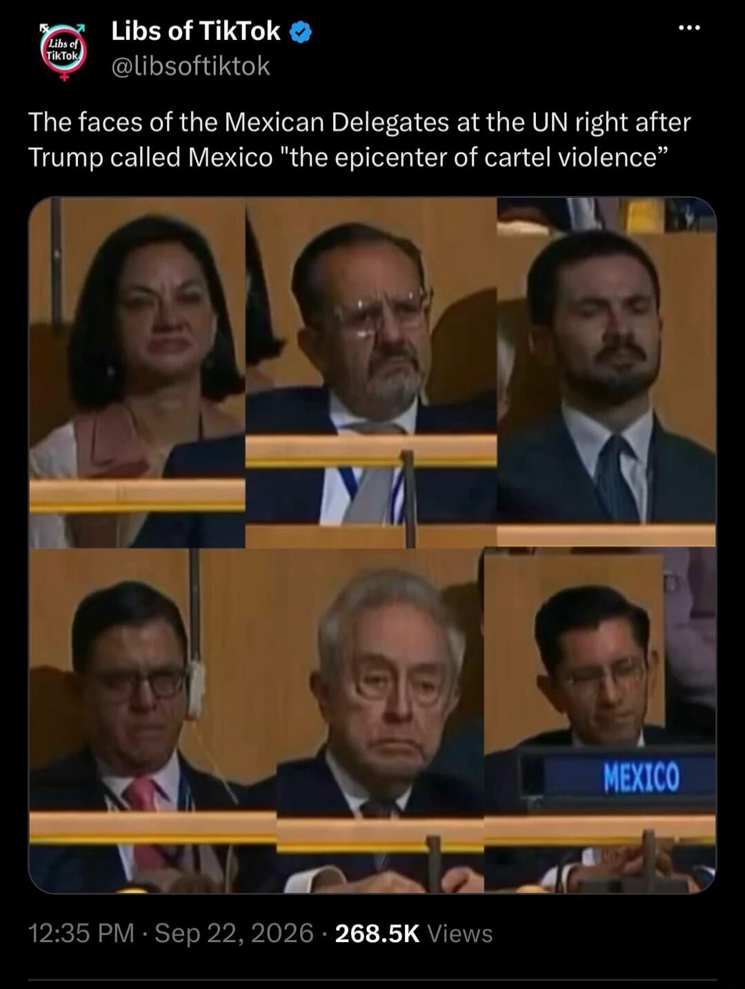 Libs of TikTok @libsoftiktok The faces of the Mexican Delegates at the UN right after Trump called Mexico 