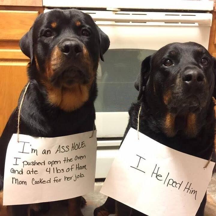 m an ASSH T pushed open 1 nd ode d1bsof et