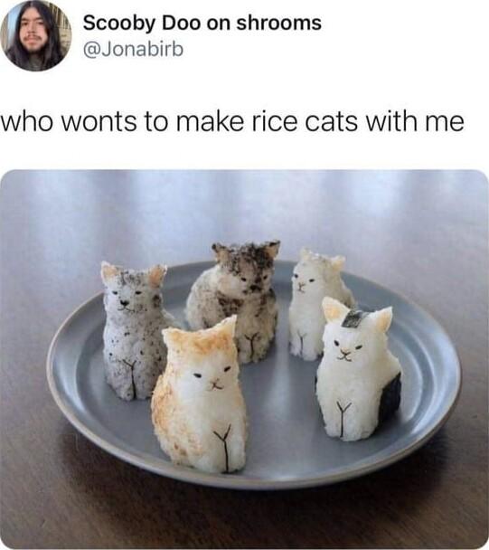 Scooby Doo on shrooms Jonabirb who wonts to make rice cats with me