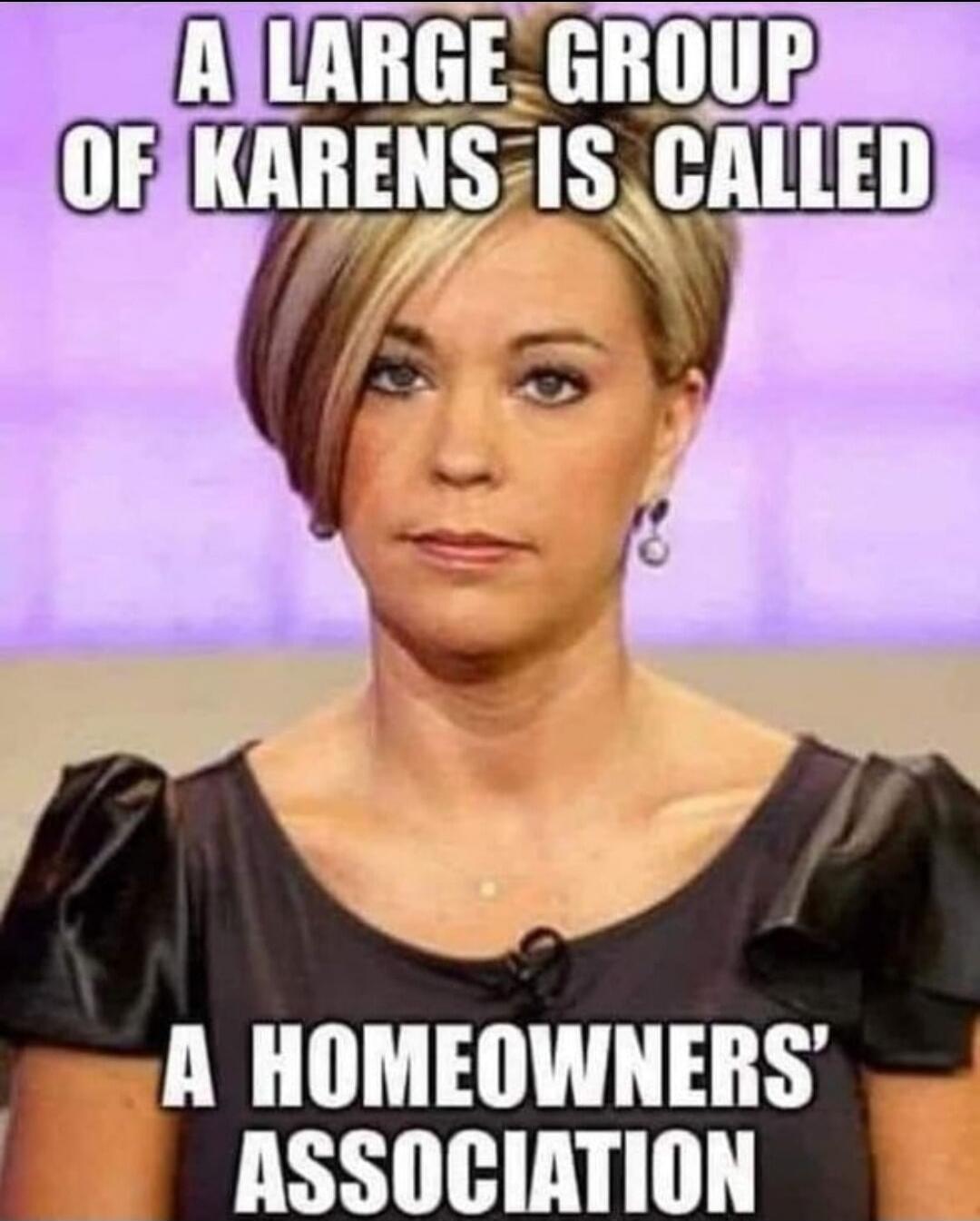 A LARGE GROUP OF KARENS IS CALLED A HOMEOWNERS' ASSOCIATION