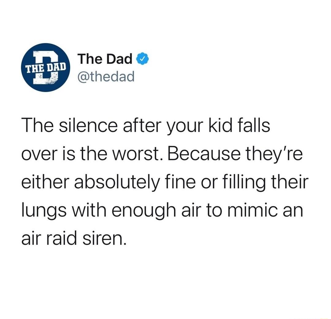 The Dad thedad The silence after your kid falls over is the worst Because theyre either absolutely fine or filling their lungs with enough air to mimic an air raid siren