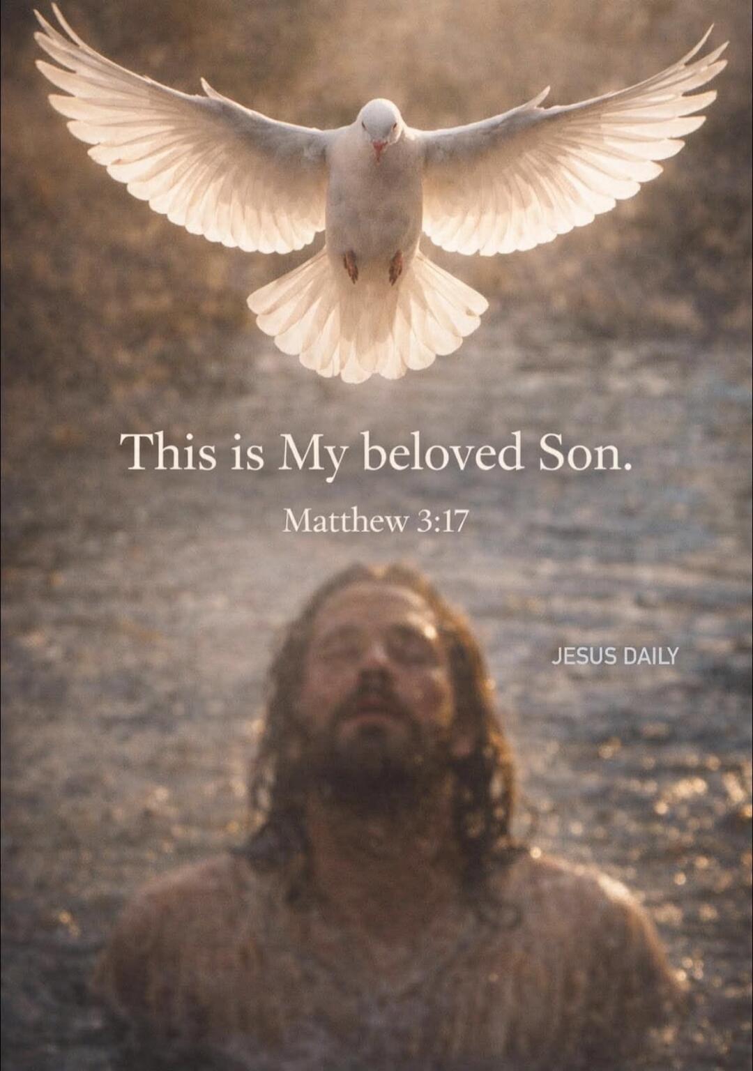 This is My beloved Son. Matthew 3:17