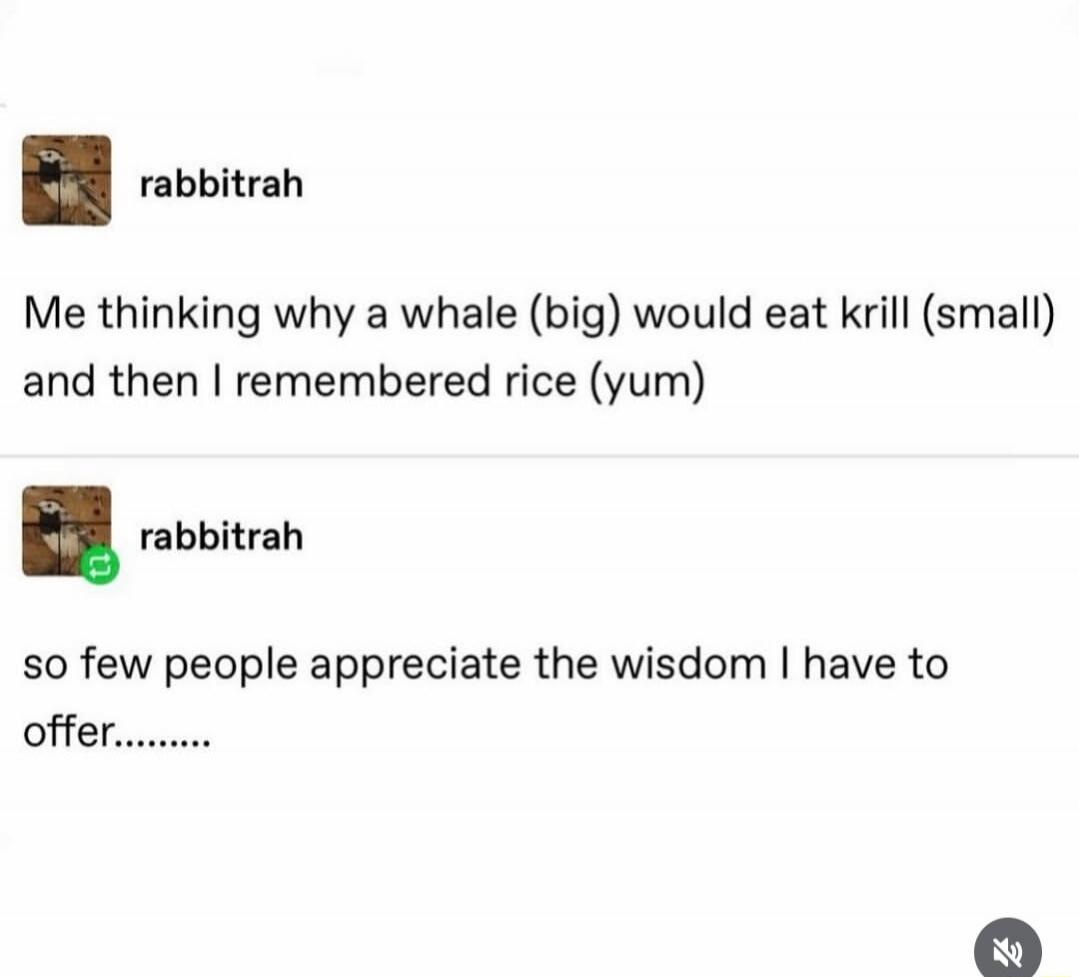 Me thinking why a whale (big) would eat krill (small) and then I remembered rice (yum) so few people appreciate the wisdom I have to offer........