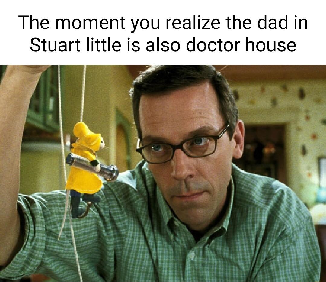 The moment you realize the dad in Stuart little is also doctor house