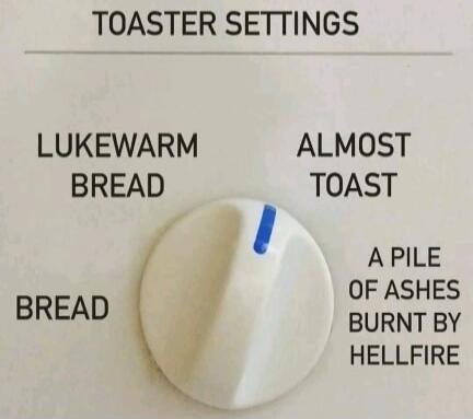 TOASTER SETTINGS LUKEWARM BREAD BREAD ALMOST TOAST A PILE OF ASHES BURNT BY HELLFIRE
