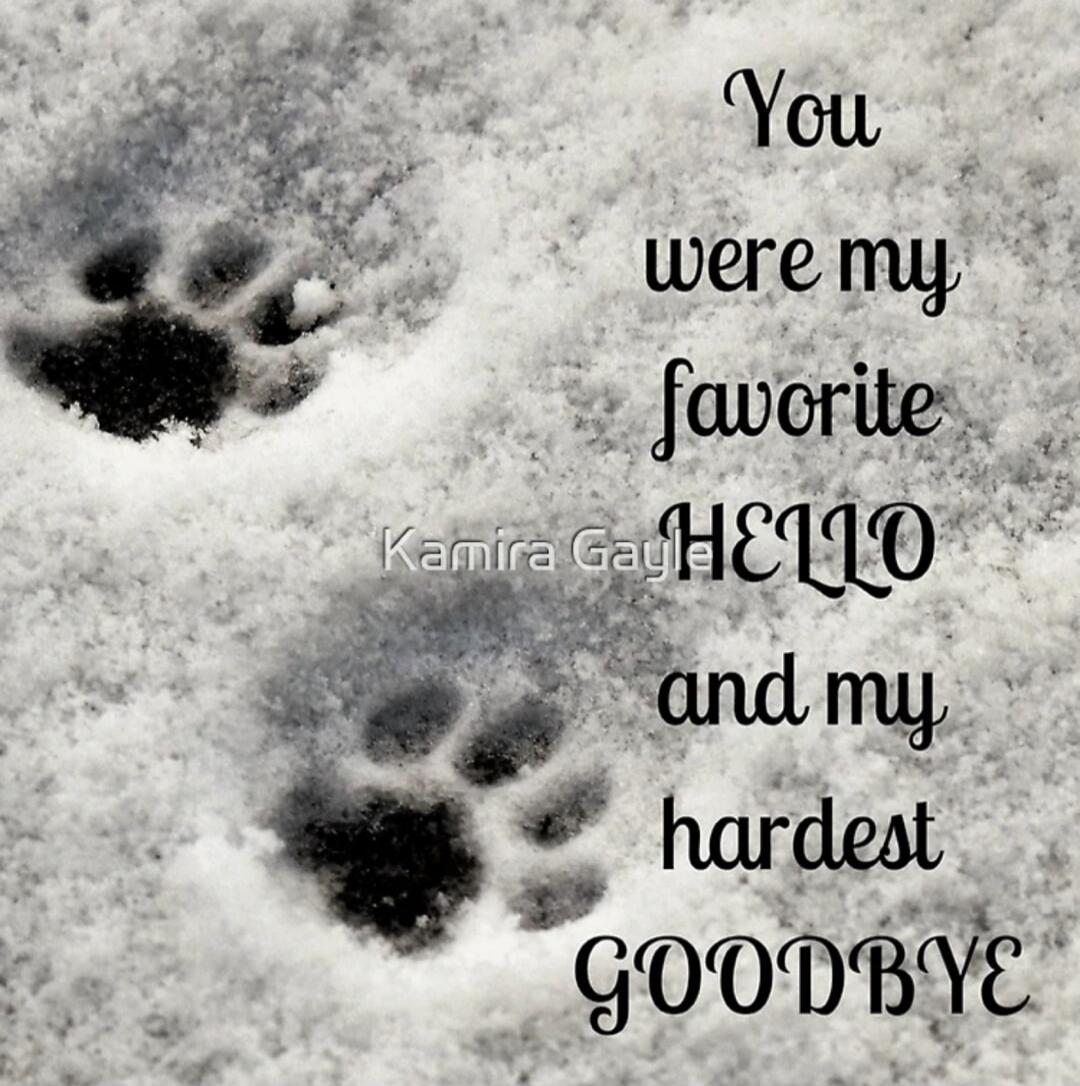 You were my favorite HELLO and my hardest GOODBYE