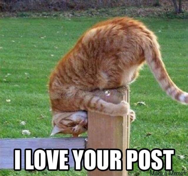 I LOVE YOUR POST