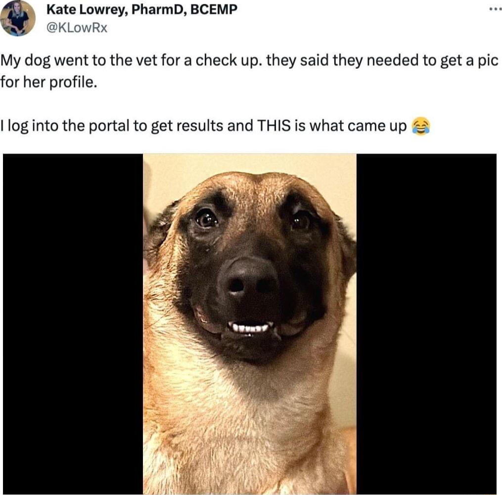 Kate Lowrey PharmD BCEMP KLowR My dog went to the vt for a check up they said they needed to get a pic for her profie log into the portal to get results and THIS is what came up