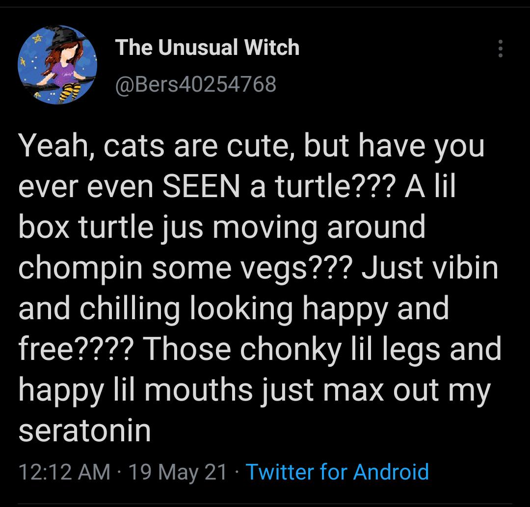 B P2 LG LTETEIR T o y Bers40254768 Yeah cats are cute but have you ever even SEEN a turtle Alil box turtle jus moving around chompin some vegs Just vibin laloRedallTalo R leTel Igle M aETo o A 10l6 free Those chonky lil legs and happy lil mouths just max out my seratonin LA A R Re R V B 1 1 T fo AN Lo o