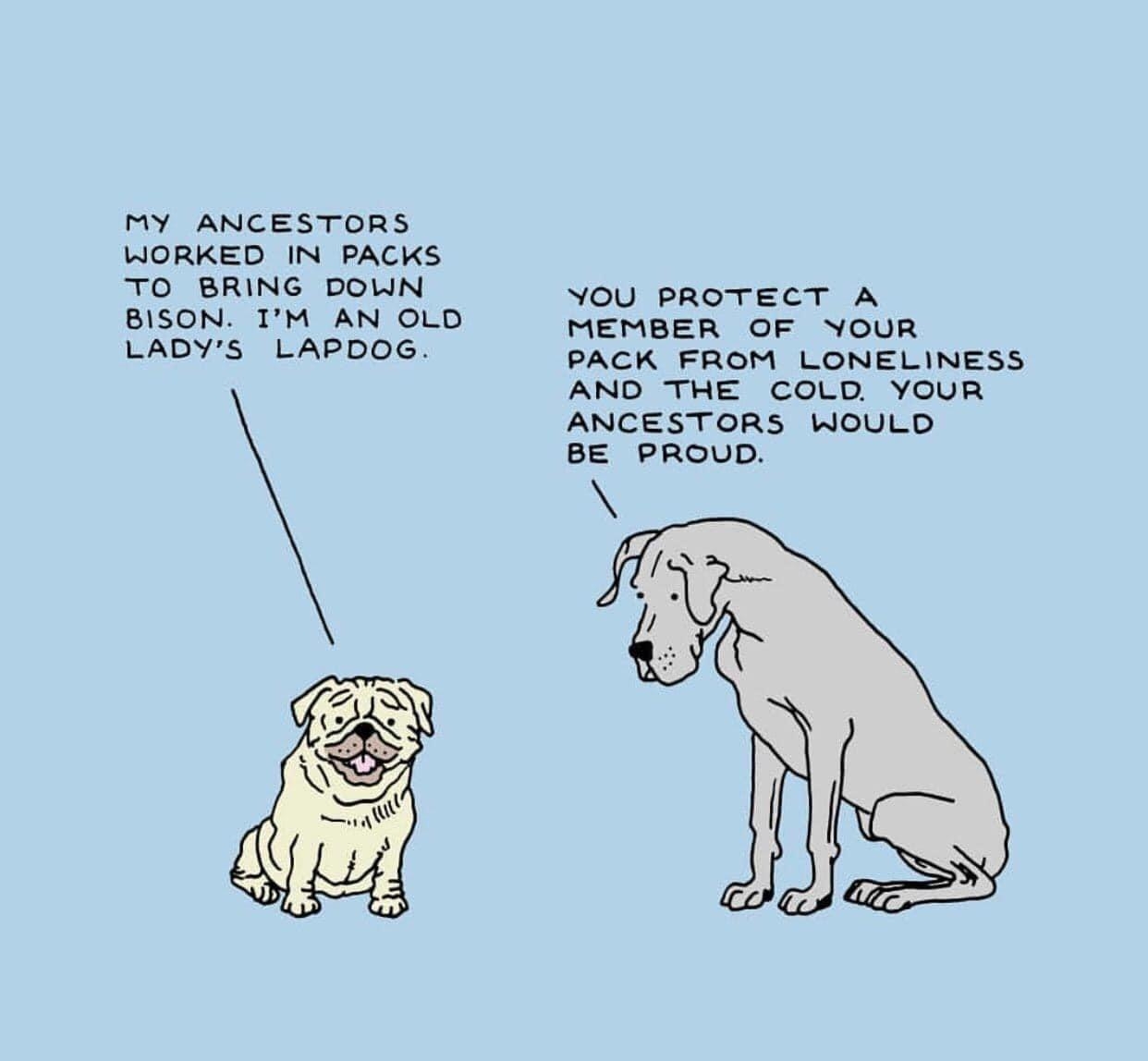 MY ANCESTORS HORKED IN PACKS TO BRING DOLIN BISON IM AN OLD LADYS LAPDOG YOU PROTECT A MEMBER OF YOUR PACK FROM LONELINESS AND THE COLD YOUR ANCESTORS WOULD BE PROUD ORAWINGSerD0GS