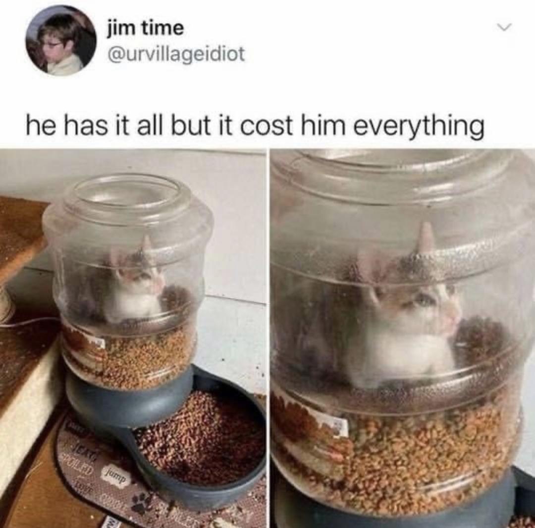 jim time urvillageidiot he has it all but it cost hm everythlng