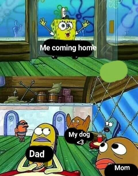 Me coming home
Dad
My dog <3
Mom
