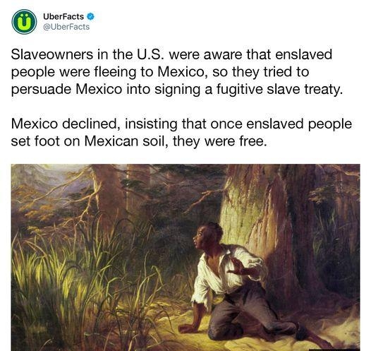 Slaveowners in the US were aware that enslaved people were fleeing to Mexico so they tried to persuade Mexico into signing a fugitive slave treaty Mexico declined insisting that once enslaved people set foot on Mexican soil they were free