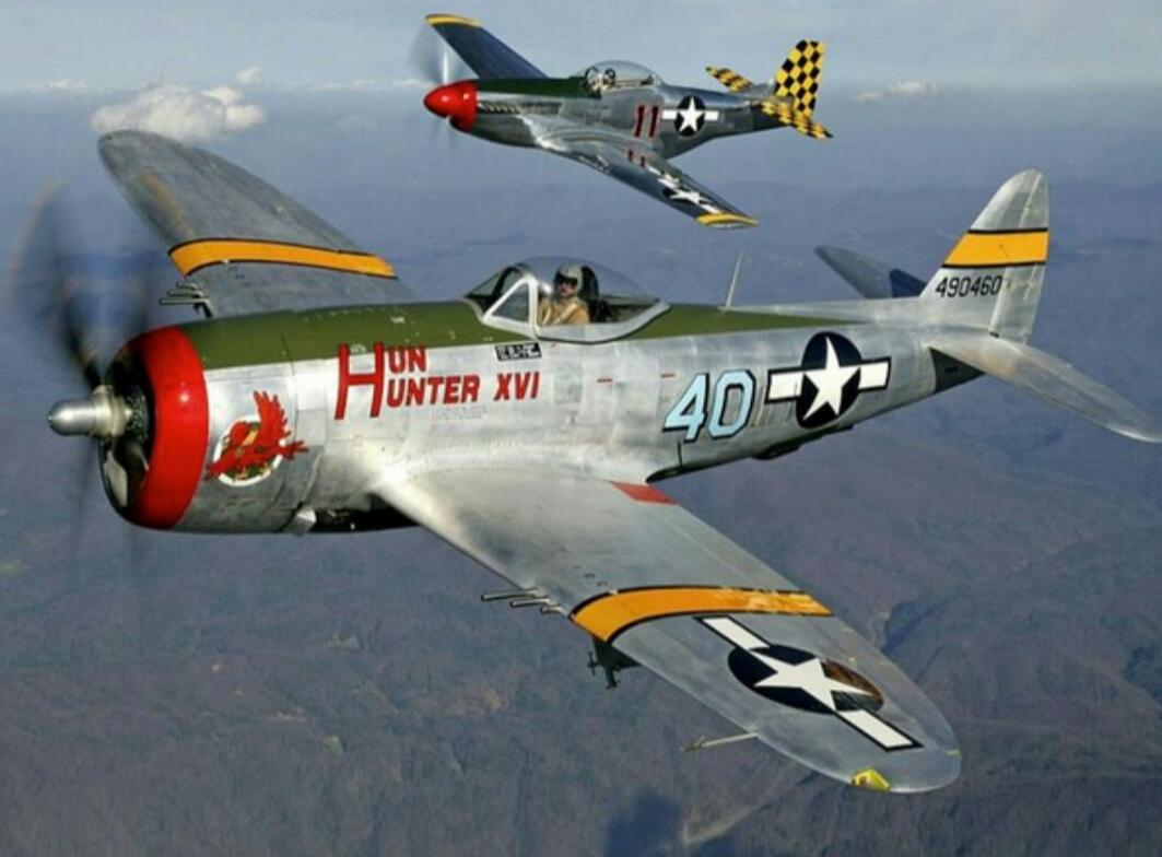 HUNTER XVI 40 490460 11
