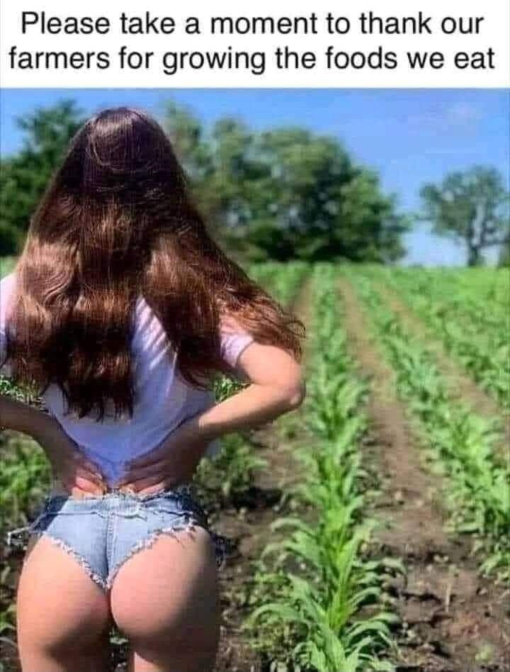 Please take a moment to thank our farmers for growing the foods we eat