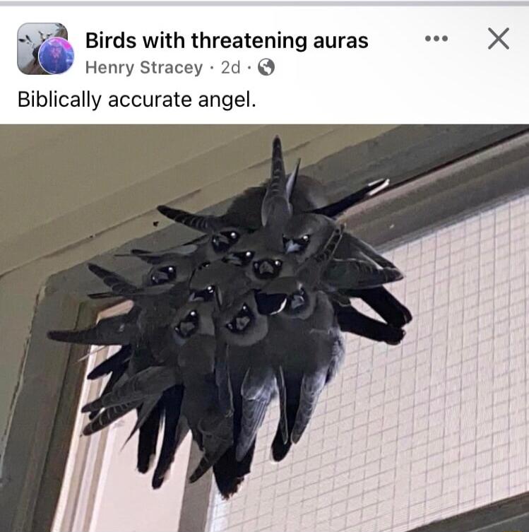 Birds with threatening auras Henry Stracey 2d Biblically accurate angel