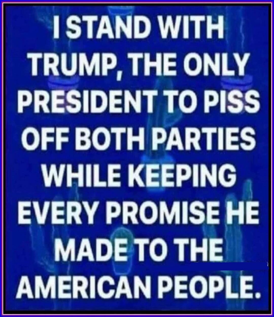 I STAND WITH TRUMP, THE ONLY PRESIDENT TO PISS OFF BOTH PARTIES WHILE KEEPING EVERY PROMISE HE MADE TO THE AMERICAN PEOPLE.