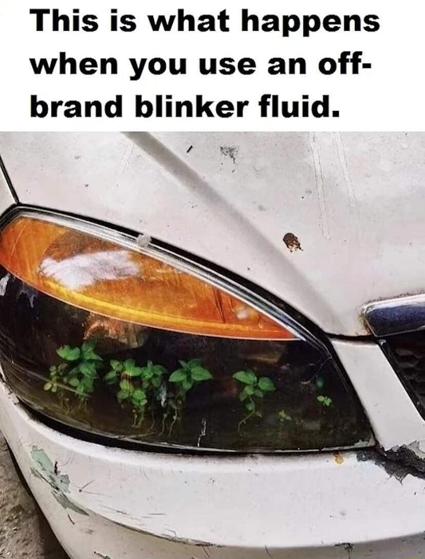 This is what happens when you use an off brand blinker fluid