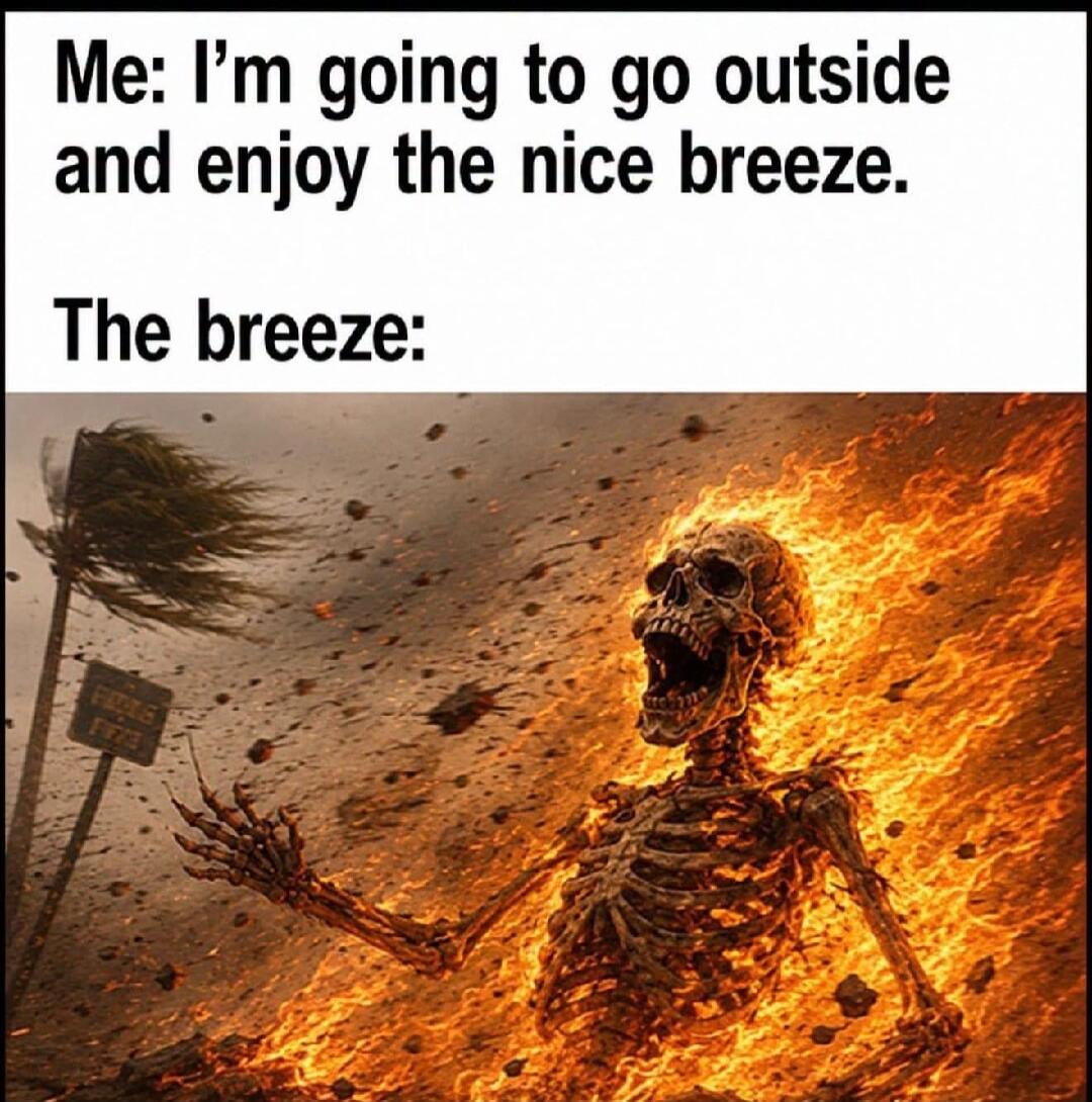 Me: I'm going to go outside and enjoy the nice breeze. The breeze: