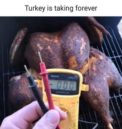 Turkey is taking forever