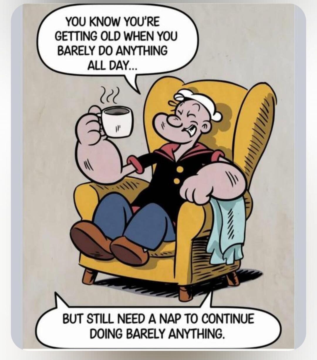 YOU KNOW YOU'RE GETTING OLD WHEN YOU BARELY DO ANYTHING ALL DAY... BUT STILL NEED A NAP TO CONTINUE DOING BARELY ANYTHING.